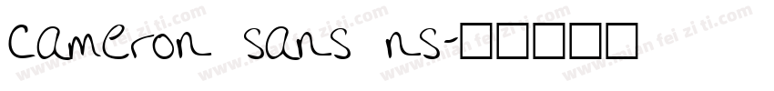 cameron sans ns字体转换